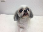 ハッピーちゃん
