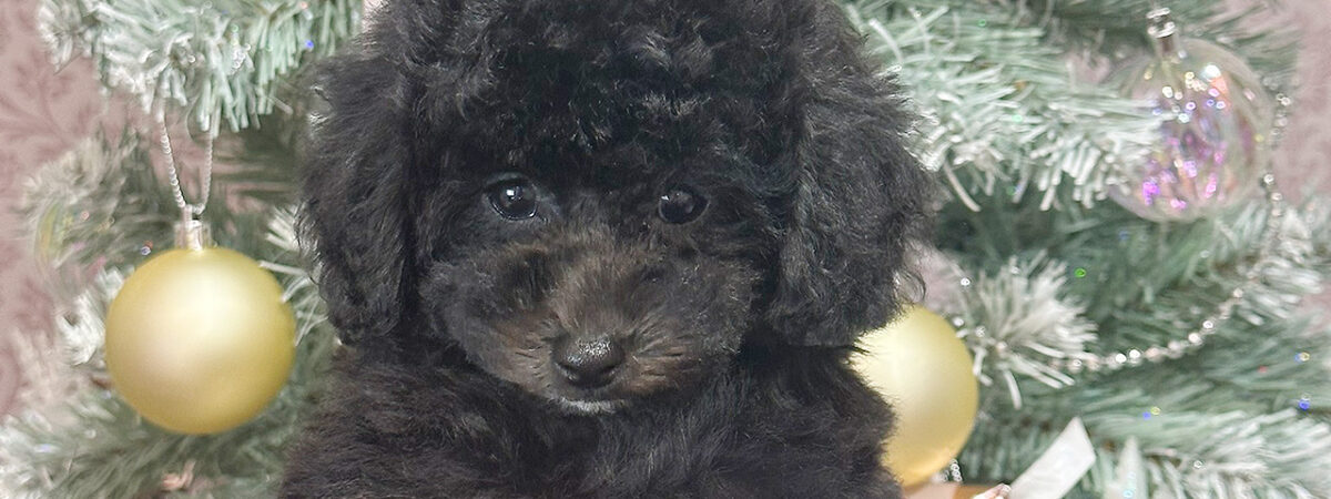 250831pt_fa072_20251109