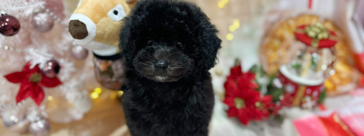 250831pt_fa101_20251109