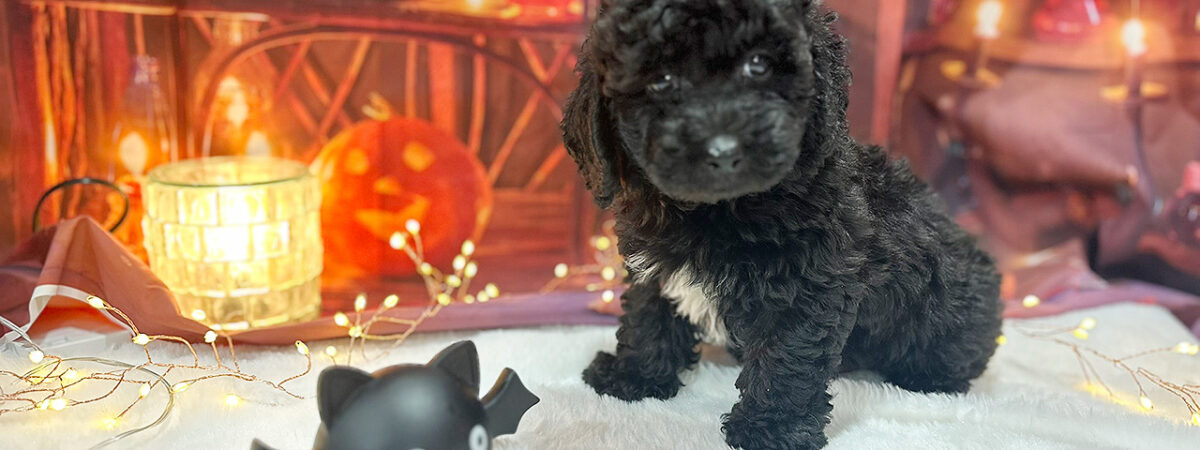 250831pt_ma060_20251020