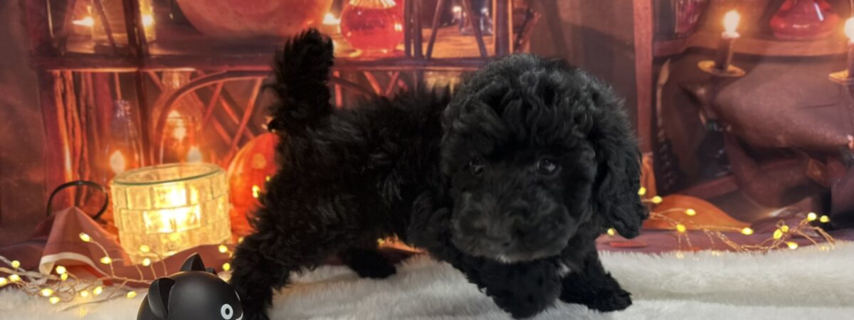 250831pt_mb056_20251020