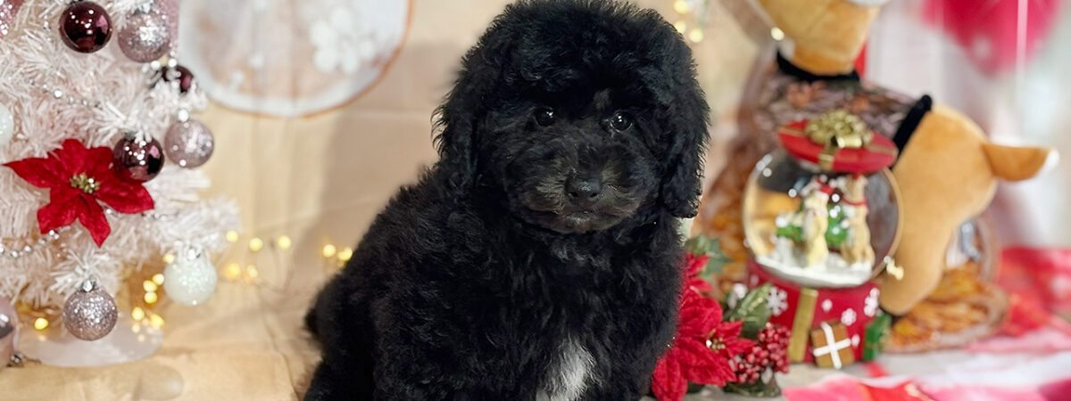 250831pt_mb077_20251113