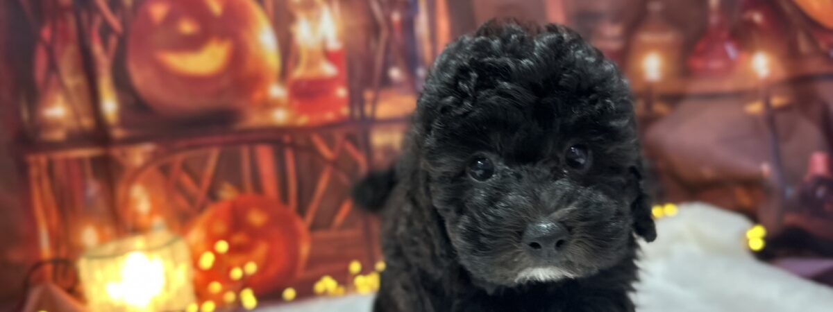 250831pt_mc047_20251020