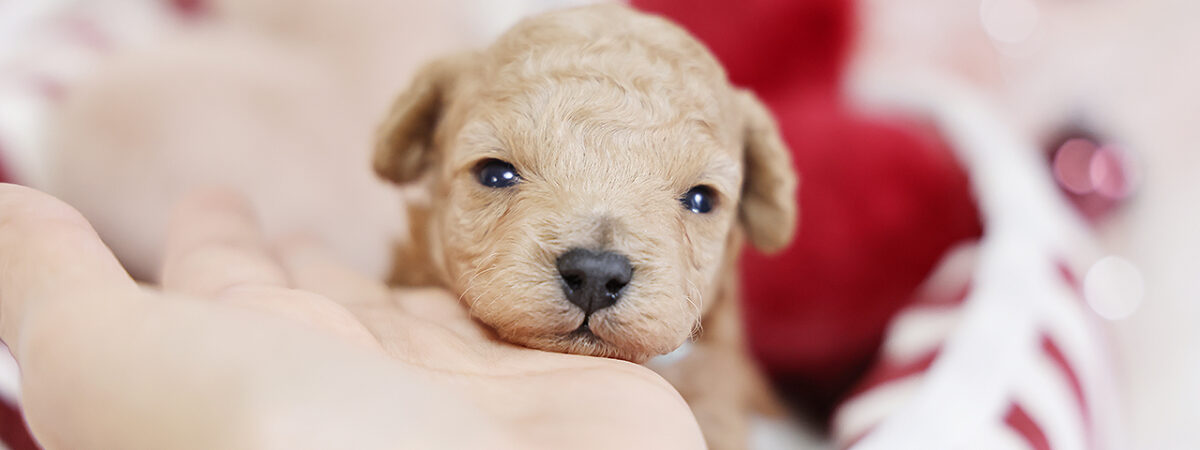 251105pt_mb015_20251125