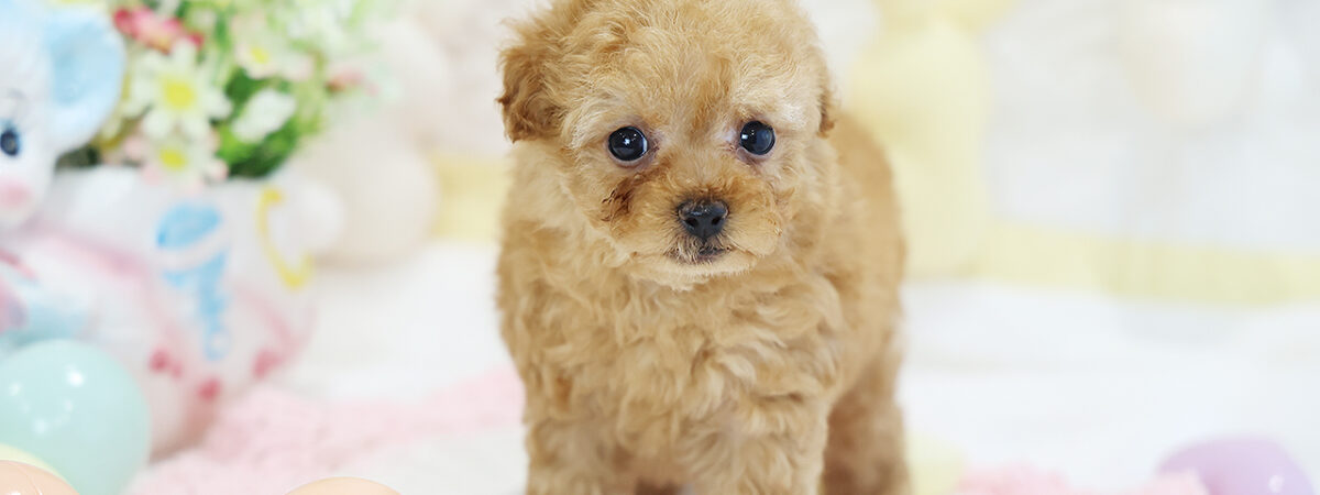 251201pt_ma105_20260116