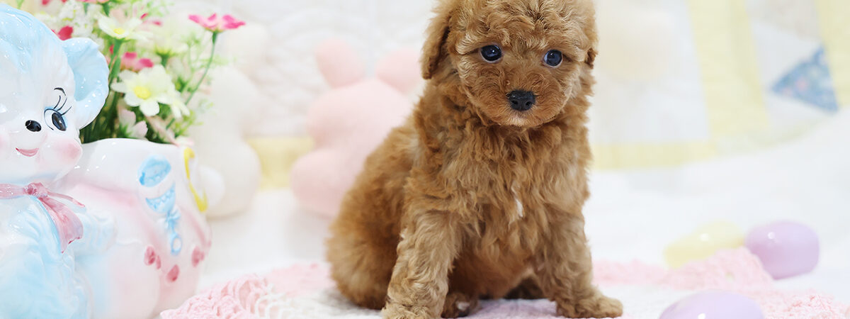 251202pt_fa091_20260116